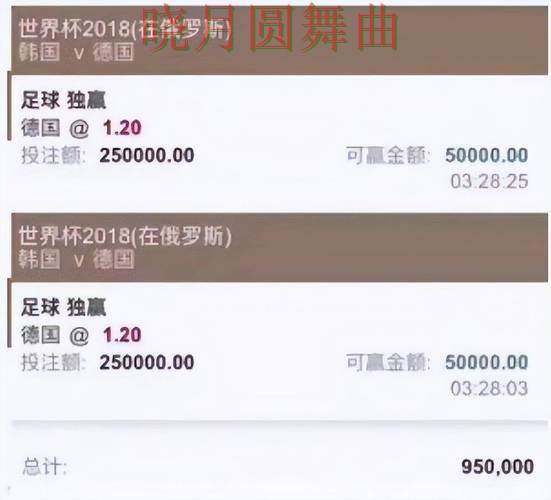 世界杯买球平台怎么选更稳经验分享